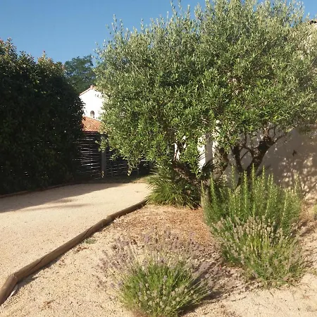 Maison *